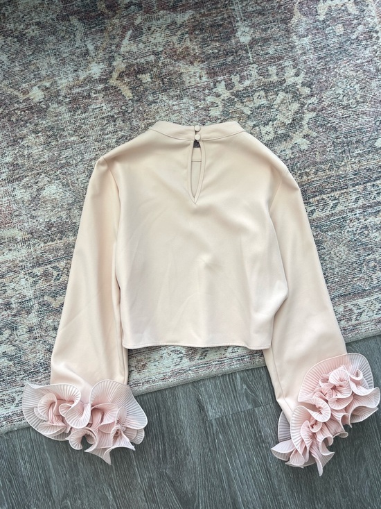 Zara Blush Pink Long-Sleeve Top with Pleated Ruffle Cuffs - Picture 5 of 6